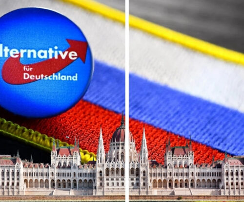 Німецьку ультраправу партію AfD звинувачують в роботі на кремль. Що шукає AfD у державних даних