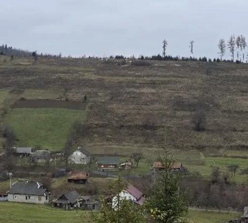 АРМА продало 460 га землі на полонині Боржава родині Льовочкіних за майже 90 млн грн, – ЗМІ