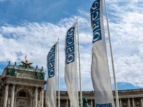 Правозахисники закликають виключити росіянку з делегації ОБСЄ на виборах в Угорщині