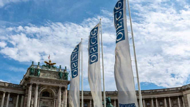 Правозахисники закликають виключити росіянку з делегації ОБСЄ на виборах в Угорщині