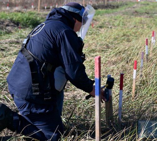 Контролювати процес гуманітарного розмінування повинен один орган – це дозволить не допустити корупцію в галузі, – Байда