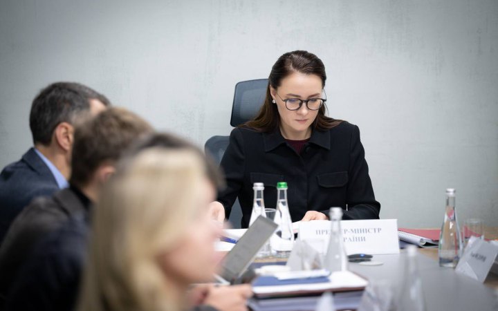 Свириденко: послуга життєстійкості в Україні стане постійною державною програмою