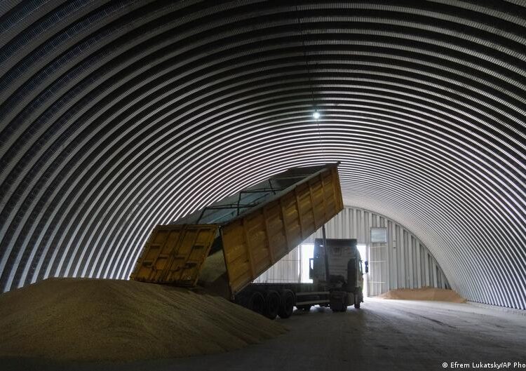 Зеленський: Єгипет відмовився від краденого РФ зерна з ТОТ