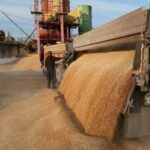 ЄС мобілізував допомогу для тимчасового зберігання українського зерна