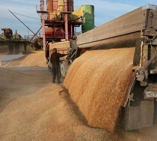 ЄС мобілізував допомогу для тимчасового зберігання українського зерна