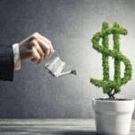 В Україні кількість інвесторів у цінні папери за чотири роки зросла майже у 12 разів