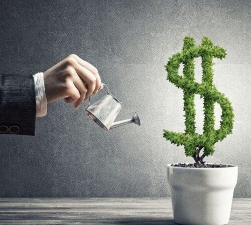В Україні кількість інвесторів у цінні папери за чотири роки зросла майже у 12 разів