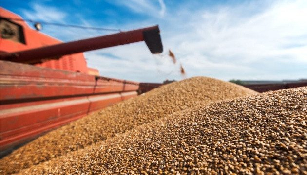 Поставки зерна з України можуть скоротитися вдвічі через удари по чорноморських портах – Bloomberg