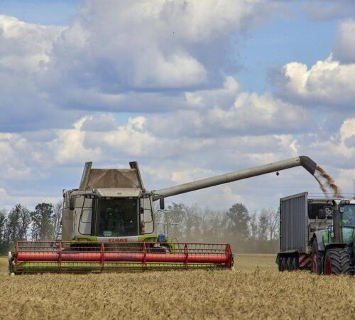 Уряд продовжив строки розрахунків за експорт агропродукції