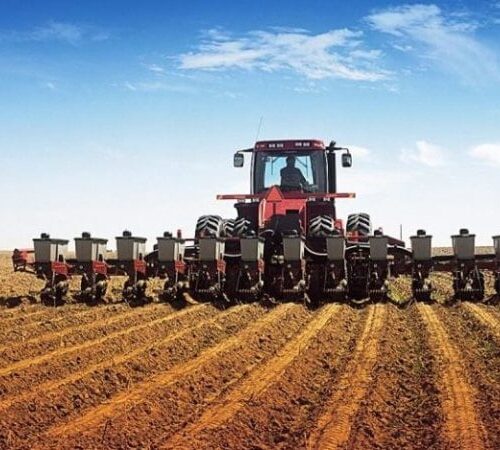 Українські аграрії засіяли майже 50% прогнозованої площі озимих культур