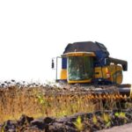 Українські аграрії вже намолотили понад 37 млн тонн зернових і 13,9 млн тонн олійних культур