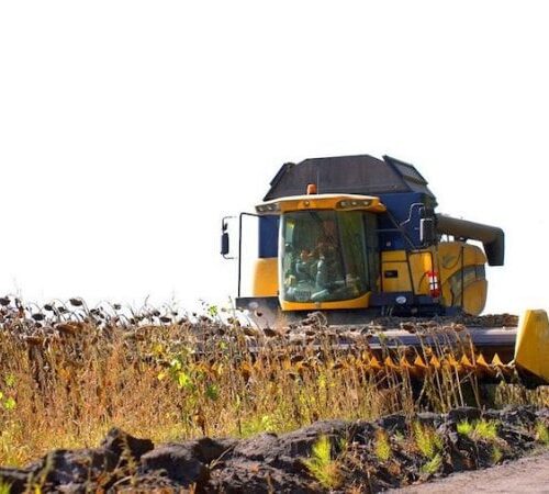 Українські аграрії вже намолотили понад 37 млн тонн зернових і 13,9 млн тонн олійних культур