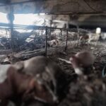 Атаки РФ: жертви на Сумщині, Харківщині й Дніпропетровщині