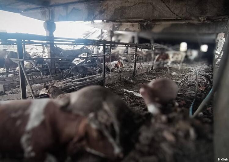 Атаки РФ: жертви на Сумщині, Харківщині й Дніпропетровщині