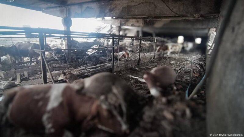 Атаки РФ: жертви на Сумщині, Харківщині й Дніпропетровщині